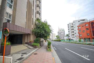 敷地西側の前面道路　