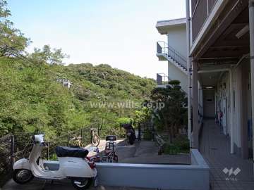 敷地の北側には山林が広がっています。