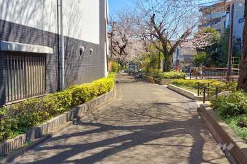 敷地南西側の前面道路(北西側から)