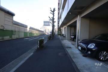 敷地東側の前面道路(北側から)