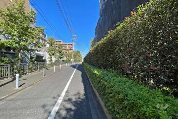 敷地西側の前面道路（南側から）