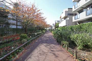 敷地北側の道路（東側から）