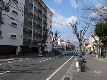 敷地北側の前面道路は街路樹がきれいな二車線のバス通り（旧国道）です。