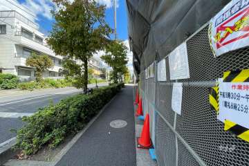 敷地北側の前面道路（西側から）