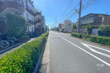 敷地北側の前面道路（東側から）