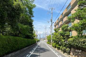 敷地南側の前面道路(東側から)