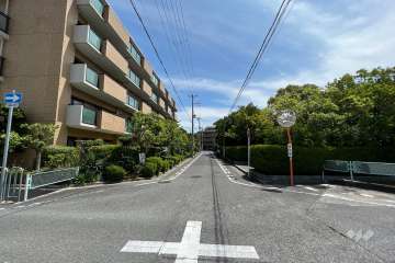 敷地南側の前面道路(西側から)