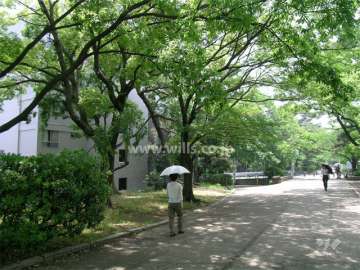 敷地西側は緑豊かな『夙川オアシスロード』です。