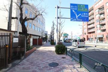 パラスト自由ヶ丘の北側前面道路(東側から)