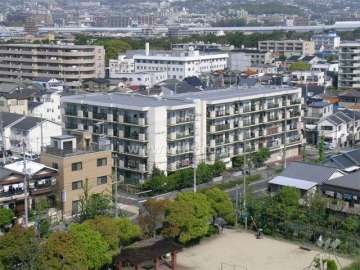 マンション遠景。東側は街路樹のきれいなバス通りで、南東側に小さな公園があります。