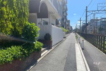 敷地南側の前面道路（西側から）