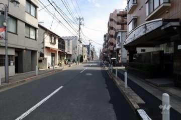 敷地北側の前面道路（西側から）