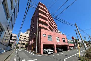 サンフラワー等々力の外観（南西側から）