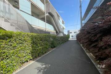 敷地東側の前面道路