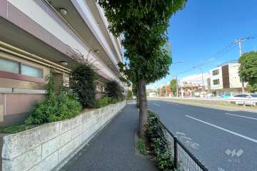 敷地北側は環八通りに面しています。