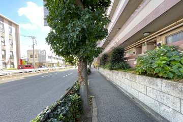 敷地北側の前面道路（西側から）