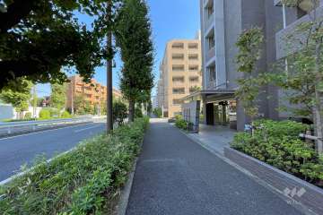 敷地の北側道路の西側から