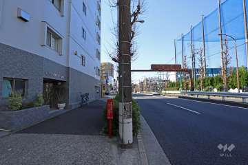 敷地北西側の前面道路（北東側から）