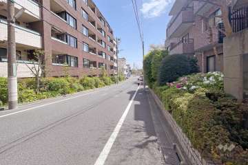 敷地北側の前面道路（西側から）