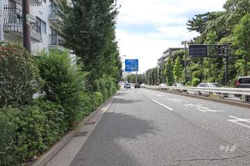 敷地北西側の前面道路（北東側から）
