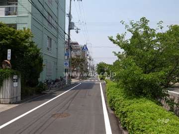 敷地東側の前面道路。道を挟んで「新堀川」が流れています。