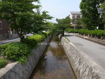 「新堀川」沿いは木々が茂り、緑豊かです。