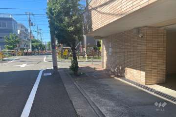 敷地東側の前面道路　