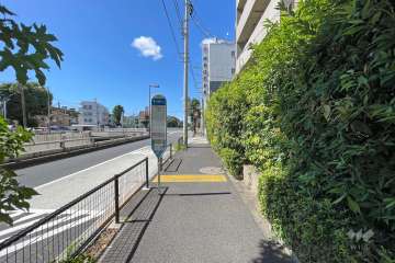 敷地南側の前面道路（東側から）