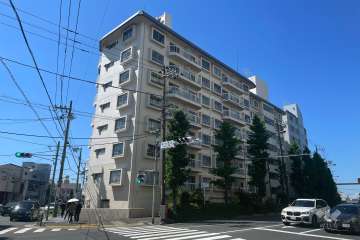 等々力ビューハイツの外観（北東側から）