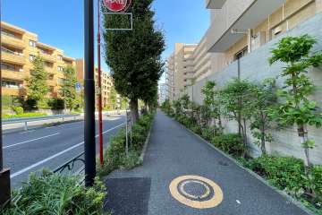 敷地北側の前面道路