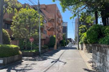 敷地の西側前面道路（北側から）