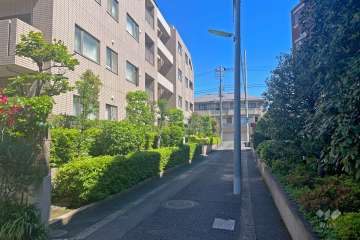 敷地東側前面道路（南側から）
