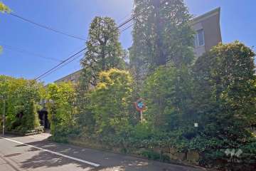 グランドメゾン等々力の外観（北西側から）