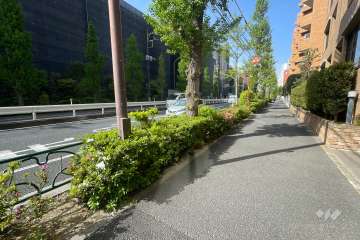 敷地南側の前面道路（目黒通り）