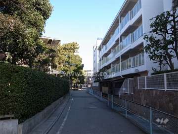 敷地西側の前面道路
