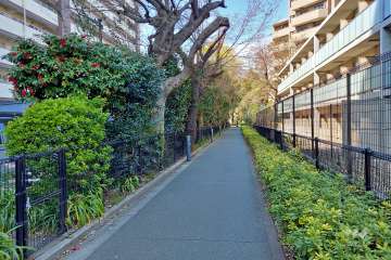 敷地内の通路