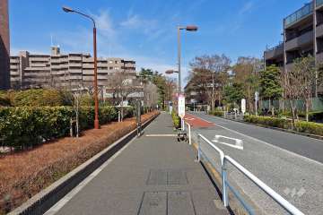 敷地東側の前面道路（南側から）