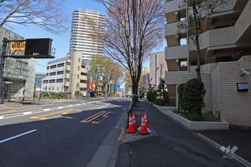 敷地北西側の前面道路（南西側から）