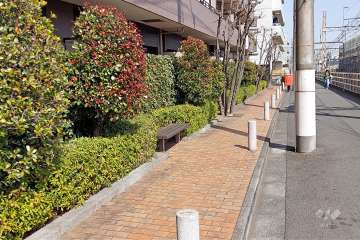 敷地南側の前面道路（西側から）