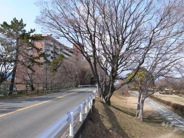 敷地の東側には武庫川が流れています。