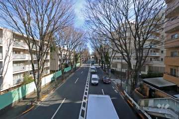 敷地北東側前面道路(北西側から)