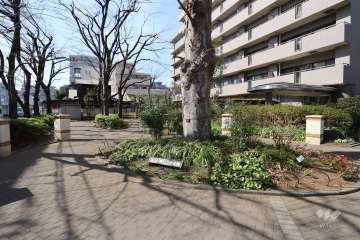 敷地内の遊歩道