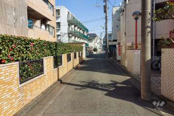 敷地南側の前面道路（西側から）