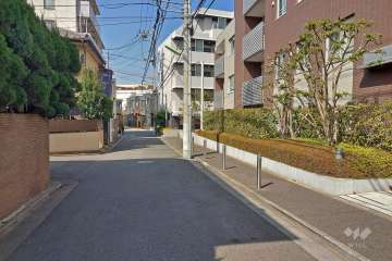 敷地西側の前面道路（南側から）