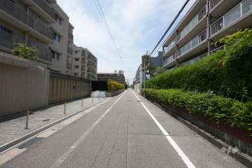敷地南側の前面道路（東から）