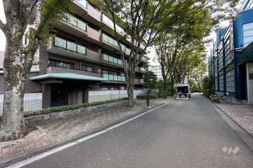 敷地の西前面道路（北側から）