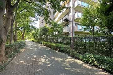 敷地の南側前面道路（東側から）