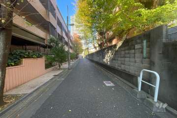 敷地北東側の前面道路（南東側から）