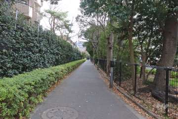 敷地南側の前面道路（西側から）