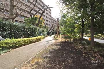 敷地西側の前面道路（北側から）